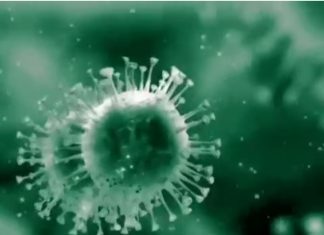 Meningkat Drastis, ODP Virus Corona di Riau Mencapai 1.823 Orang