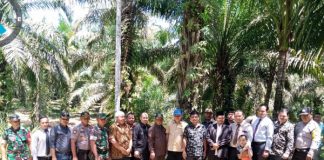 Pimpinan DPRD Rohul Bersama Komisi I Kunjungi Lokasi Pembangunan PT KAS