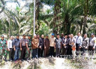 Pimpinan DPRD Rohul Bersama Komisi I Kunjungi Lokasi Pembangunan PT KAS