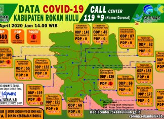 ODP Covid-19 di Rohul Capai 2.460 Orang, Pasien Positif Corona Semakin Membaik