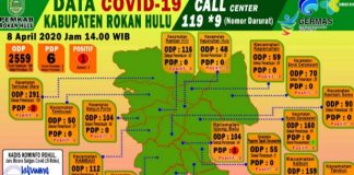 2 PDP Covid 19 di Rohul Dinyatakan Sembuh, 1 Warga Kepenuhan Justru Positif PDP