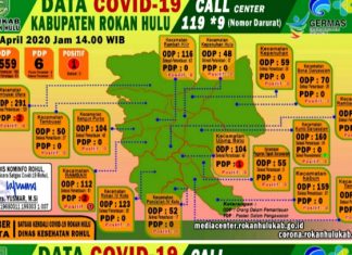2 PDP Covid 19 di Rohul Dinyatakan Sembuh, 1 Warga Kepenuhan Justru Positif PDP