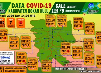2 PDP Covid-19 di Rohul Sembuh, 5 Lainnya Masih Dalam Perawatan