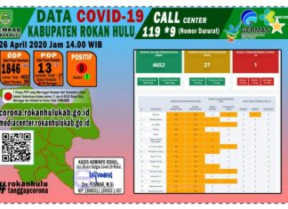 3 PDP Covid-19 di Rohul Meninggal Dunia, Ini Penjelasan Diskominfo