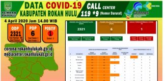 PDP Covid-19 Menjadi 6 Orang di Rohul, Yusmar : 3 Orang Kesehatannya Semakin Membaik