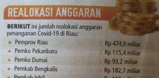 Biaya Penanggulangan Covid-19 Rohul Dianggap Sangat Kecil, Jupendri : Alihkan Anggaran
