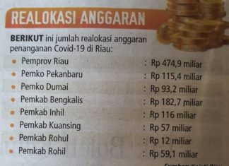 Biaya Penanggulangan Covid-19 Rohul Dianggap Sangat Kecil, Jupendri : Alihkan Anggaran