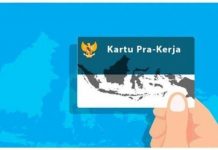 Tidak Sedikit, Berikut Rincian Insentif Yang Kamu Terima Bila Mendapat Kartu Pra Kerja