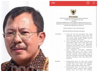 Menteri Kesehatan Setujui Pemberlakuan PSBB di Kota Pekanbaru