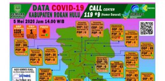 24 PDP di Rohul Sehat, Berikut Penjelasan KaDiskominfo
