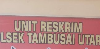 Asyik Nyabu, Pria di Tambusai Utara Dibekuk Warga dan Polisi