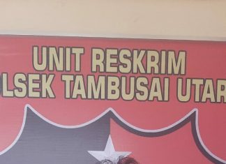 Asyik Nyabu, Pria di Tambusai Utara Dibekuk Warga dan Polisi