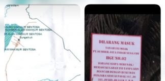 Aliansi Masyarakat Adat Desak Pemkab Rohul Tidak Perpanjang HGU PT SJI