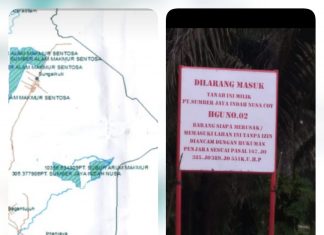 Aliansi Masyarakat Adat Desak Pemkab Rohul Tidak Perpanjang HGU PT SJI