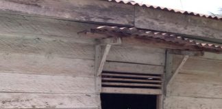 Aksi Mulia, DPD PKS Rohul BAGI Sembako Untuk Warga Terdampak Covid-19