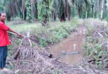 Rembesan Limbah PT RSI Sampai ke Rumah Warga, Badrun : Ini Sudah 3 Tahun