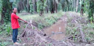 Rembesan Limbah PT RSI Sampai ke Rumah Warga, Badrun : Ini Sudah 3 Tahun