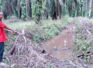 Rembesan Limbah PT RSI Sampai ke Rumah Warga, Badrun : Ini Sudah 3 Tahun