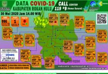 Pulang Dari Medan, Warga Kecamatan Rambah Hilir Masuk Daftar PDP COVID-19