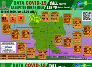 Pulang Dari Medan, Warga Kecamatan Rambah Hilir Masuk Daftar PDP COVID-19