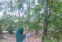Mahasiswa UPP Meneliti Keanekaragaman Pohon di Hutan Kota Pasir Pengaraian