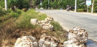 Harga Karet Tak Kunjung Naik, Petani Kesulitan Cukupi Kebutuhan