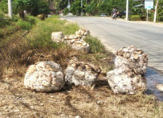Harga Karet Tak Kunjung Naik, Petani Kesulitan Cukupi Kebutuhan