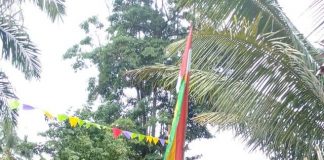 Pemdes Rambah Samo Barat Lakukan Penilaian Lomba kebun Dasa Wisma