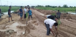 Kesal Jalan Tak Kunjung Diperbaiki, Warga Sontang Tanam Pisang dan Sawit