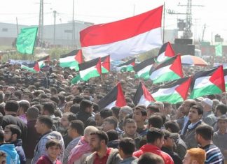 Fachrul Razi : Indonesia Akan Terus Dukung Perjuangan Palestina