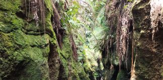 INSTAGRAMABLE, Keindahan Sungai Soeran Mampu Memanjakan Mata