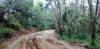 ANEH TAPI NYATA, Pembangunan Jalan di Desa Menaming Tanpa Plang Proyek