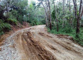 ANEH TAPI NYATA, Pembangunan Jalan di Desa Menaming Tanpa Plang Proyek