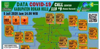 Rokan Hulu Nihil PDP, Berikut Pesan Kadiskominfo ke Masyarakat