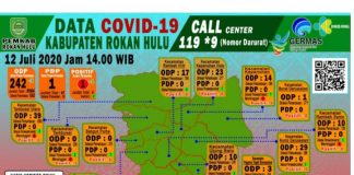 Kabar Gembira, 1 Pasien Positif Covid-19 di Rohul Dinyatakan Sehat