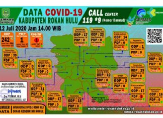 Kabar Gembira, 1 Pasien Positif Covid-19 di Rohul Dinyatakan Sehat