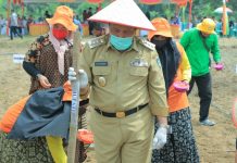IKUT MENUNGGAL Tanam Jagung di Rawa Seribu, H Sukiman : Diharapkan Dapat Mewujudkan Ketahanan Pangan Masyarakat