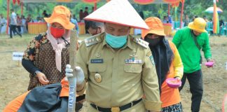 IKUT MENUNGGAL Tanam Jagung di Rawa Seribu, H Sukiman : Diharapkan Dapat Mewujudkan Ketahanan Pangan Masyarakat