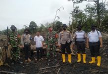 Terpantau Titik Api, Tim Gabungan TNI Polri Temukan Karlahut di Desa Rambah Tengah Hulu