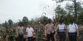 Terpantau Titik Api, Tim Gabungan TNI Polri Temukan Karlahut di Desa Rambah Tengah Hulu