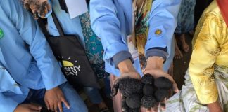 Kukerta UNRI Beri Pelatihan Pembuatan Briket Tempurung ke Masyarakat