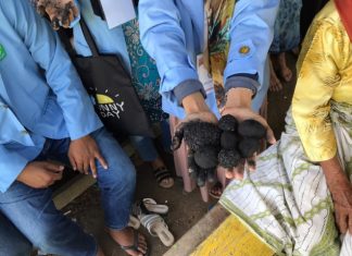 Kukerta UNRI Beri Pelatihan Pembuatan Briket Tempurung ke Masyarakat