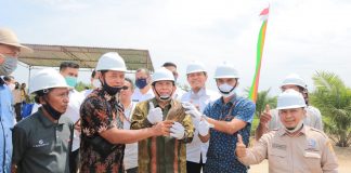 Bupati Rohul Monitoring dan Kastrasi Perkebunan Sawit di Plasma KUD Makarti Jaya