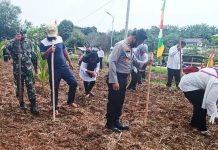 Jaga Stabilitas Pangan Ditengah Pandemi, TNI dan Polri di Kecamatan Rambah Tanam Jagung dan Tabur Bibit Ikan Nila