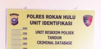Polisi Berhasil Ringkus Pelaku Pencurian Minimarket di Simpang Pir
