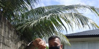Jaga Ketahanan Pangan, Program Budikdamber Oleh Polres Rohul di Panti Asuhan Budi Mulya BERHASIL