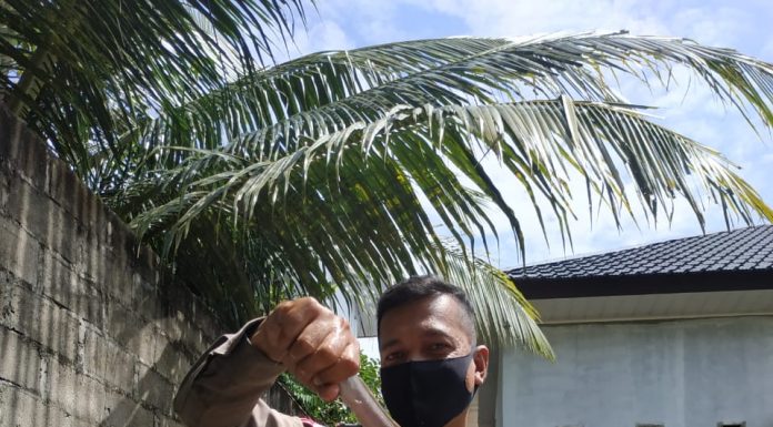 Jaga Ketahanan Pangan, Program Budikdamber Oleh Polres Rohul di Panti Asuhan Budi Mulya BERHASIL