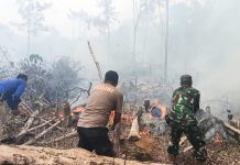 Lahan Kebakaran, TNI-POLRI dan DAMKAR Berjibaku Padamkan Api