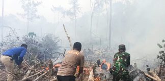 Lahan Kebakaran, TNI-POLRI dan DAMKAR Berjibaku Padamkan Api
