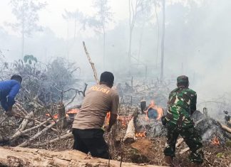 Lahan Kebakaran, TNI-POLRI dan DAMKAR Berjibaku Padamkan Api